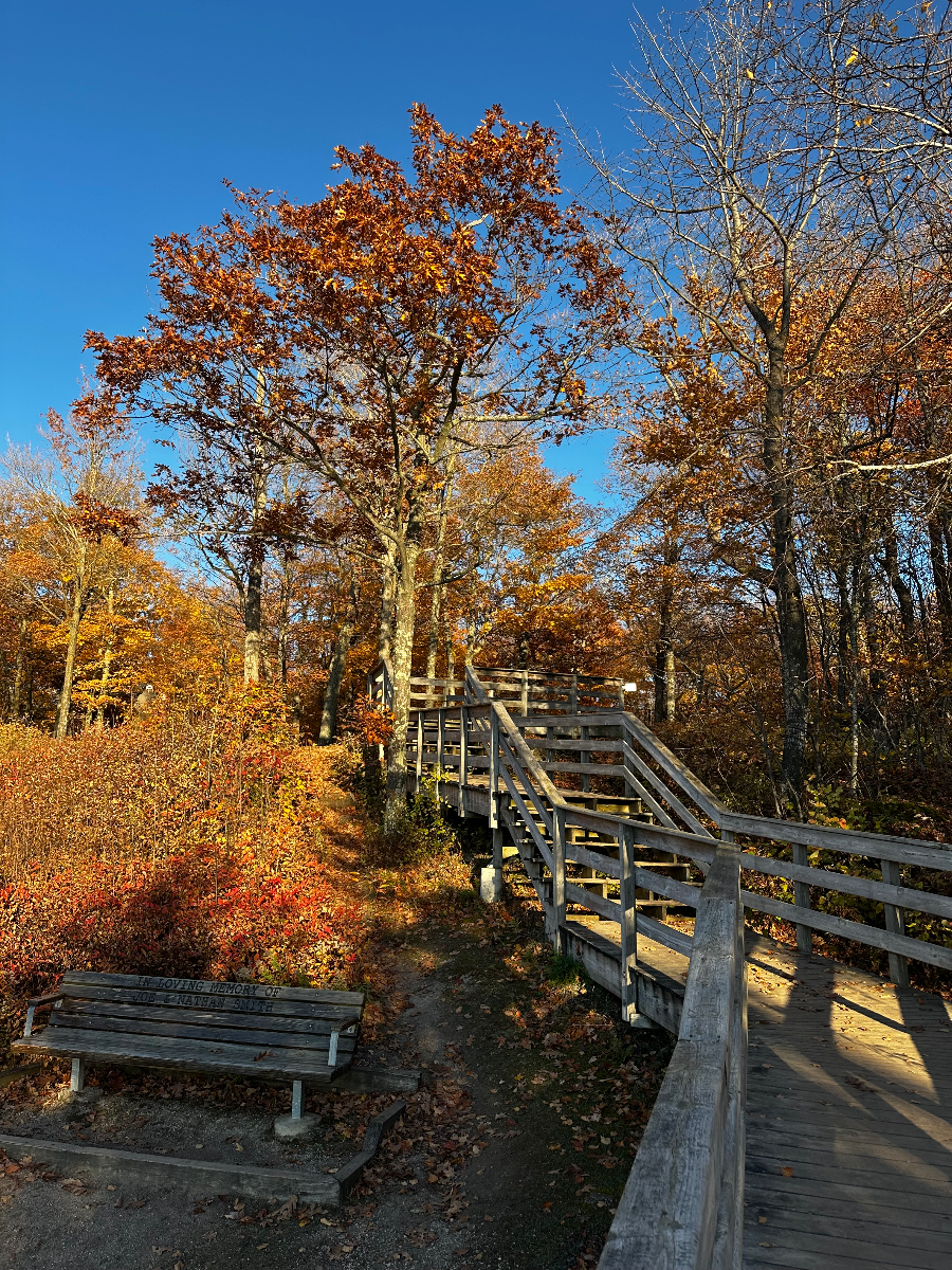 Ellison Bluff County Park